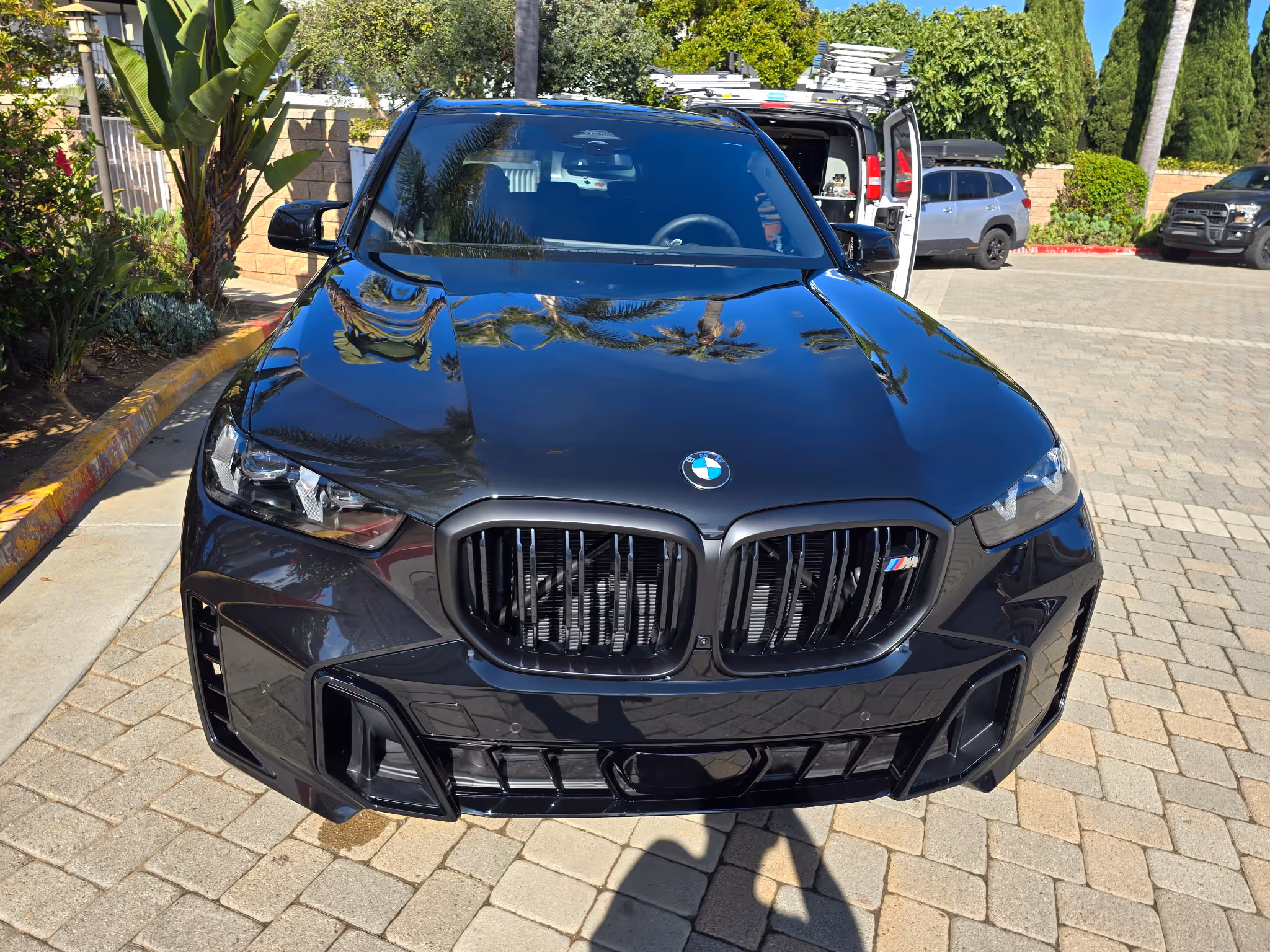Water beading on a freshly ceramic-coated BMW