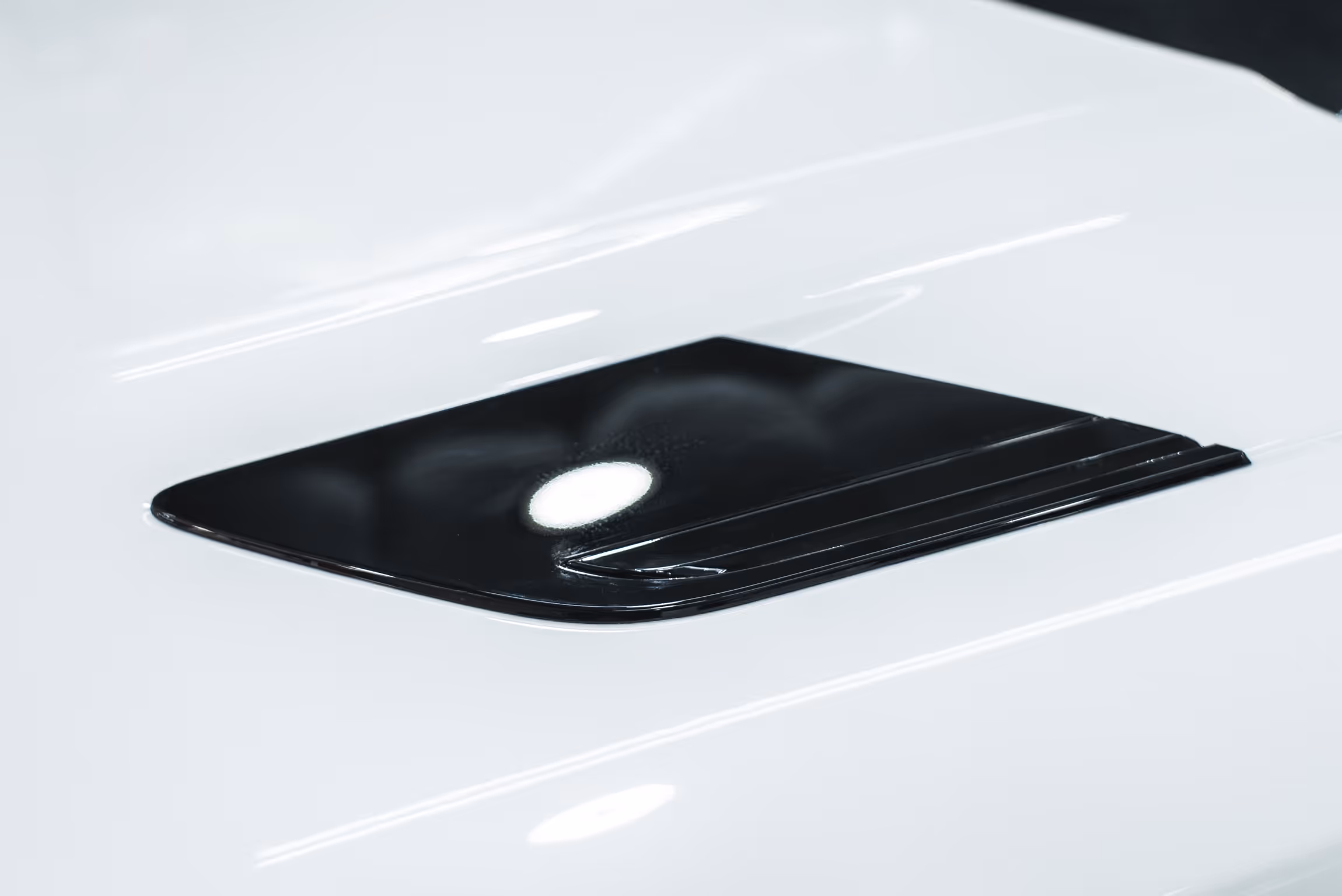 Paint Protection Film example 2