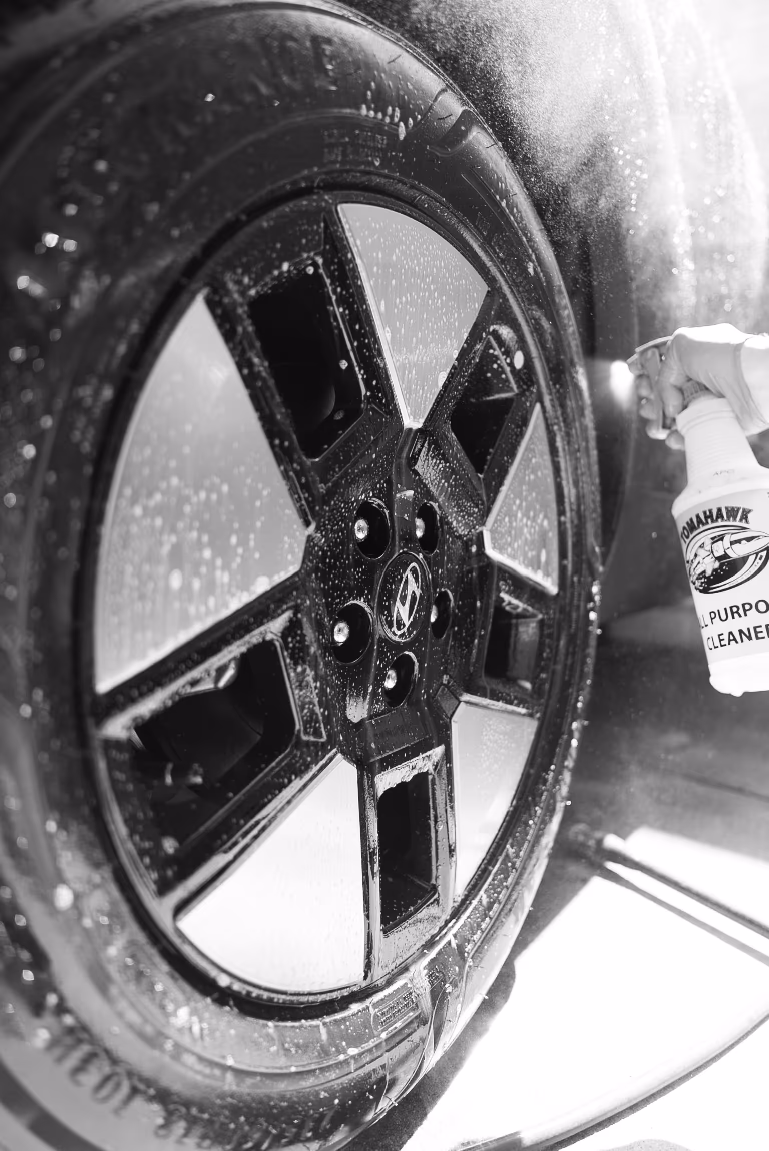 Auto Detailing example 12